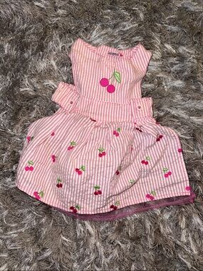 Pink Cherry Embroidered Dog’s Dress
